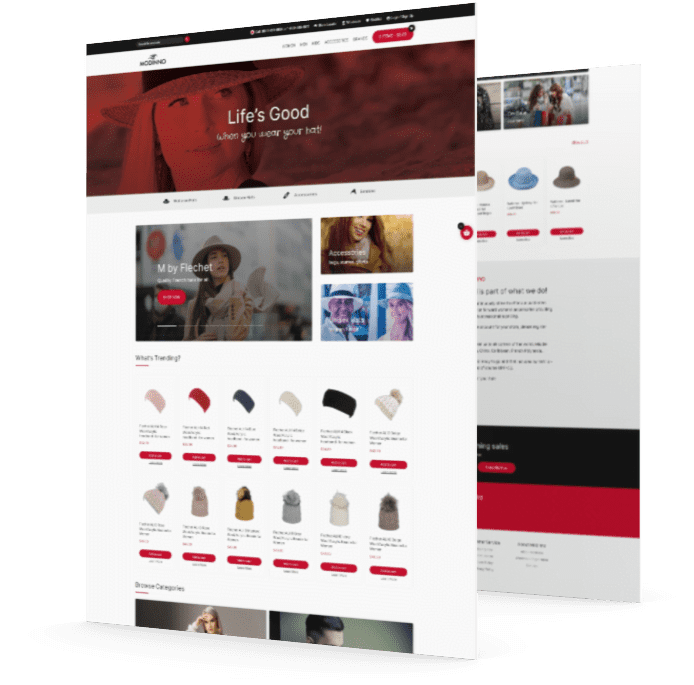 Vancouver Website design and development service